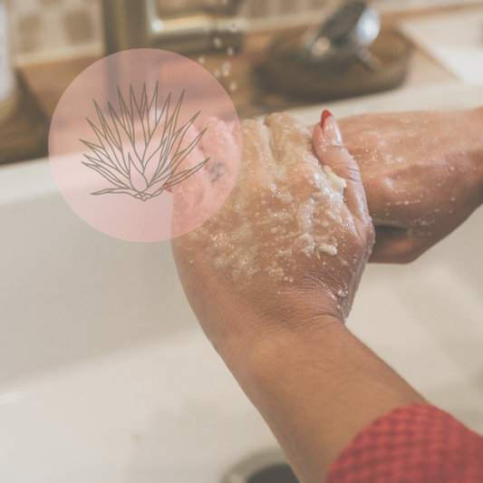 The Agave Scrub