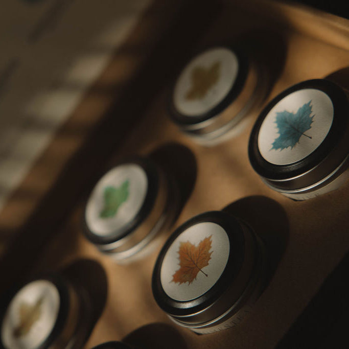 Fall Discovery Flight