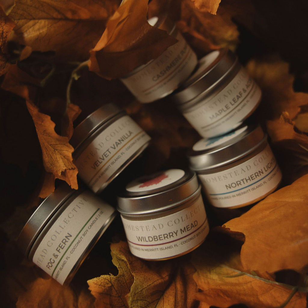 Fall Discovery Flight