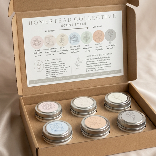 Discovery Box
