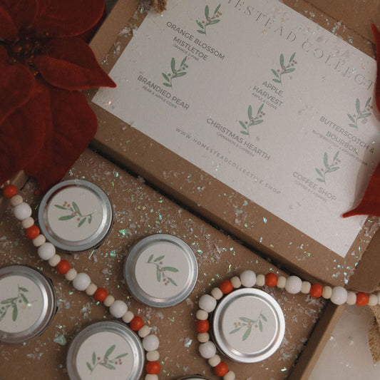 Seasonal Discovery Flights