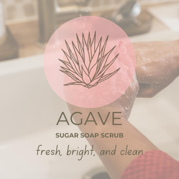 The Agave Scrub