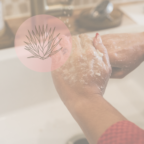 The Agave Scrub