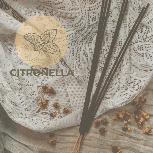The Citronella Incense