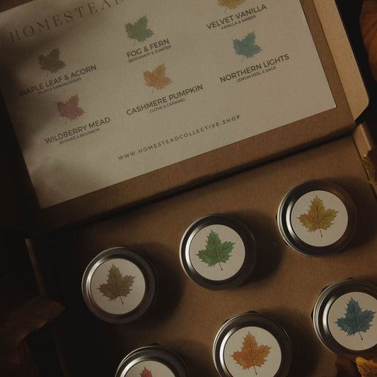 Fall Discovery Flight