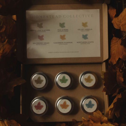 Fall Discovery Flight