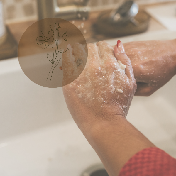 The Muse Scrub