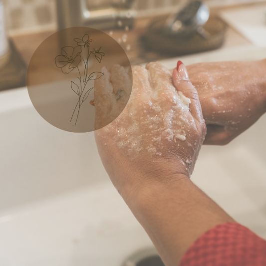 The Muse Scrub