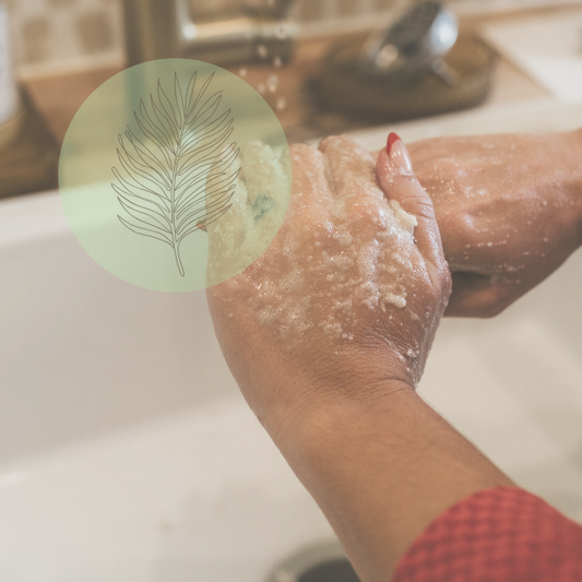 The Palm Scrub