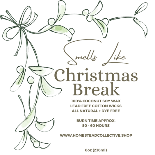 Smells Like Christmas Break/ Ambered Juniper